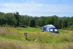 Non Electric Grass Tent Pitches at Preseli Glamping