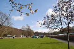 Electric Grass Green Pitches at Dolgamedd Holiday Park