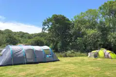 Grass Tent Pitches (Optional Electric) at Melin Mabes