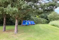 Non Electric Grass Tent Pitches at Willow Caravan Park