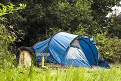 Meadow Non Electric Grass Tent Pitches at Kite View Camping