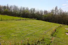 Non-Electric Grass Tent Pitches at Fox's Furrow