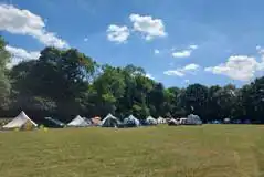 Non Electric Grass Tent Pitches at Hever Camping