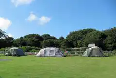Electric Grass Pitches at Plas Uchaf Caravan and Camping Park
