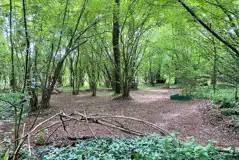 Non Electric Wild Tent Pitches (Littlewood) at Woodlands Camping