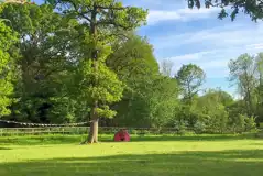 Non Electric Grass Pitches (The Clearing) at Woodlands Camping