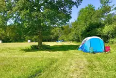 Non Electric Grass Pitches (The Meadow) at Woodlands Camping