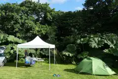 Grass Pitches at Pennance Mill Farm and Camping Park