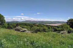 Medium Non Electric Grass Pitch (Primrose) at Hazel Mount Fellside