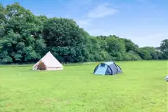 Non Electric Grass Tent Pitches at The Daggles