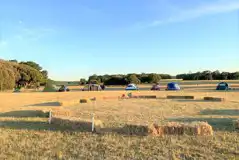 Non Electric Grass Tent Pitches  at Holkham Hall Pop-Up Campsite