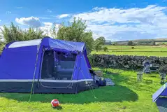 Electric Grass Tent Pitches  at Collierhall Farm Certificated Location