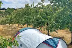 Large Non Electric Grass Tent Pitches at Orchard Lodge Camping