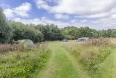 Non electric grass tent pitch - Centre Point