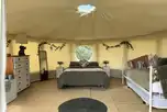 Willow yurt