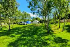 Electric grass pitches (Outer Meadow Pond View)