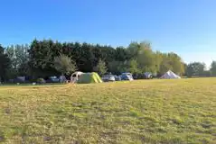 Non Electric Grass Tent Pitches  at Crane Cross Camping Park