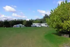 Electric Grass Touring Pitches at Crane Cross Camping Park