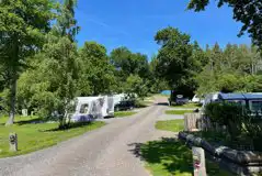 Fully Serviced Hardstanding Pitches  at Whitefield Forest Touring Park
