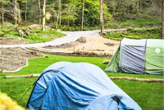 Large Non Electric Grass Pitches  at Tree Tops and Train Tracks