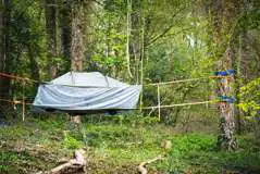 SparrowHawk tree tent