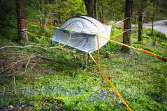 SparrowHawk tree tent