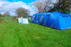Grass Large Tent Pitches Up To 8m (Optional Electric) at Spring Field Dark Skies Eco Camp