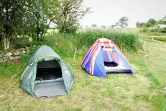 Non Electric Grass Tent Pitch  at Court Bleddyn