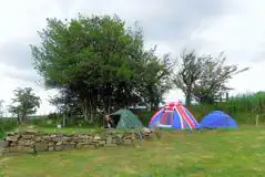 Electric Grass Tent Pitch at Court Bleddyn