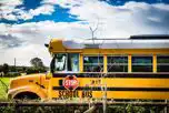 American School Bus at Petruth Paddocks
