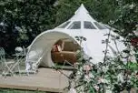 Apple Blossom Lotus Belle Tent at Walcot Hall Estate