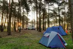 Electric Grass and Earth Tent Pitches  at Avon Tyrrell Activity Centre