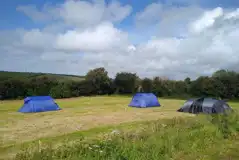Non Electric Campervan Pitch at Proper Camping