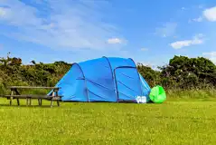 Non Electric Grass Pitches  at Green Land Views Camping
