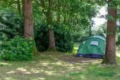 Non Electric Grass Pitches at Alpine Grove Touring Park