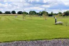 Extra Large Electric Grass Pitches at Oakwood Campsite