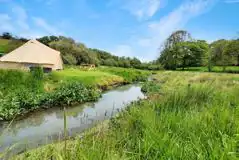 Non Electric Grass Tent Pitches (Water Meadow) at Woodfrys Farm