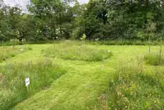 Non Electric Wild Grass Tent Pitches at Tipis at Ponty