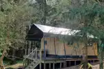 Kestrel's Keep Safari Tent at Ruberslaw Wild Woods Camping