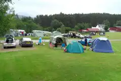 Electric Grass Tent Pitches at Cruachan Farm Caravan and Camping Park