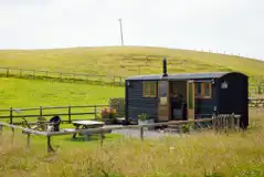 King shepherds hut 