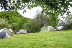 Large Non Electric Grass Pitches at Acorn Camping and Glamping