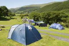 Non Electric Grass Pitches at Gwerniago Camping Site