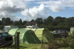 Grass Pitches (Optional Electric) at Oakhill Camping and Caravanning