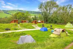 Medium Optional Electric Grass Pitches at Moss Howe Farm Campsite