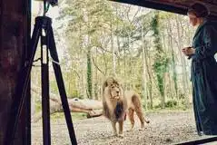 Lion Lodge at Port Lympne Reserve