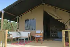 Beech Safari Tent at Jurassic Glamping