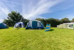 Grass Tent Pitches (Optional Electric) at Court Farm Campsite
