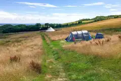 Non Electric Grass Tent Pitch (XL, Lower Field) at Fox Camping