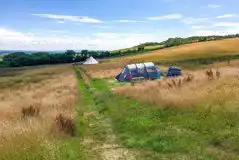 Non Electric Grass Tent Pitch (Medium, Lower Field) at Fox Camping